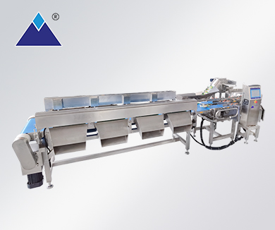 四級(jí)皮帶式雙通道分選秤 四級(jí)皮帶式雙通道分選秤